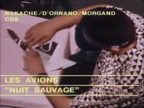 Les Avions - Nuit Sauvage
