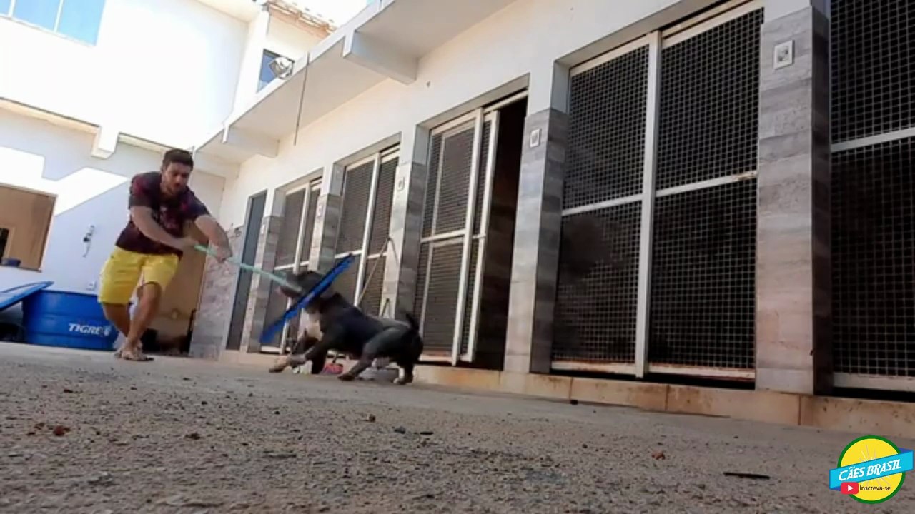 ✅VEJA ISSO COMENTÁRIO VÍDEO TOURINHO