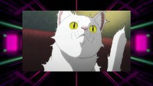 Nyaight of the Living Cat EP 2: “Tonight the Cats Steal the Stars” - Review