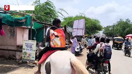 बाइक, रिक्शा या बस नहीं, घोड़े पर सवार होकर स्कूल जाता है छात्र, प्रधानाचार्य ने की तारीफ