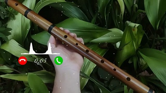 Sawan ka mahina ringtone _ bansuri ringtone _ flute ringtone _ best ringtone _ ringtone _#viral