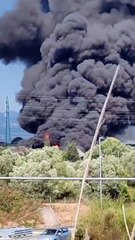 Lamezia incendio