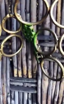 avc_avc_avc-avc-IMG-6126