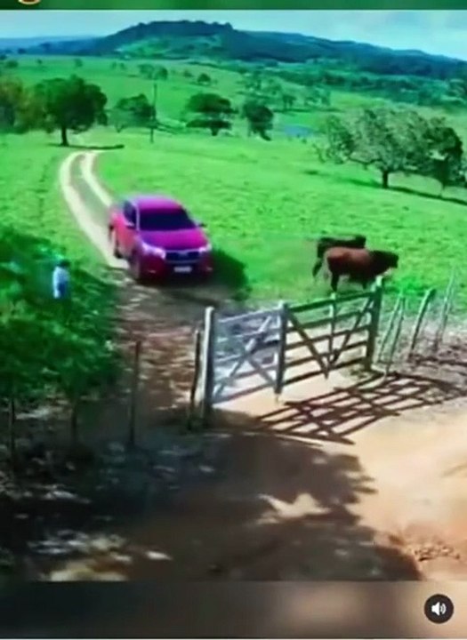 Des fermiers pas très habiles