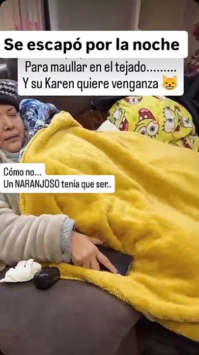 Gatito 😺 parrandero