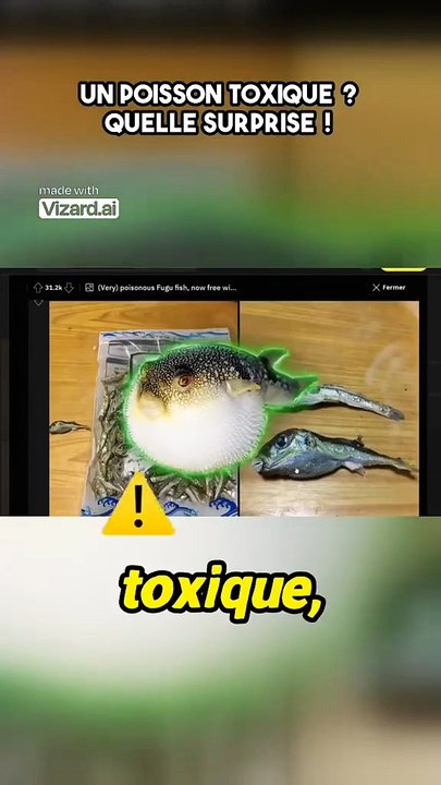 un poisson toxique ?