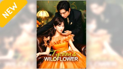 THE TYCOONS WILDFLOWER