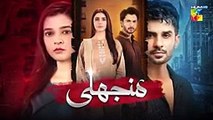 Manjhli - Episode 32 Promo - 14 July 2025 At 07 PM Only On HUM TV