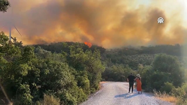 İzmir'in Urla ilçesinde orman yangını!