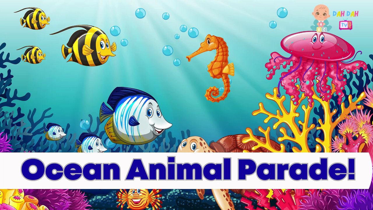 Learn All About Ocean Animals & Deep Sea Creatures | Ocean animals for ...