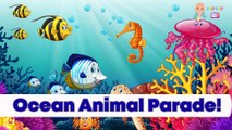 Learn All About Ocean Animals & Deep Sea Creatures | Ocean animals for Kids, Toddlers & Kindergarten | Education Videos | Preschool Learning |