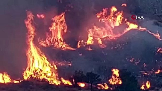 Aliağa’da otluk alanda çıkan yangın rüzgarın etkisiyle büyüdü