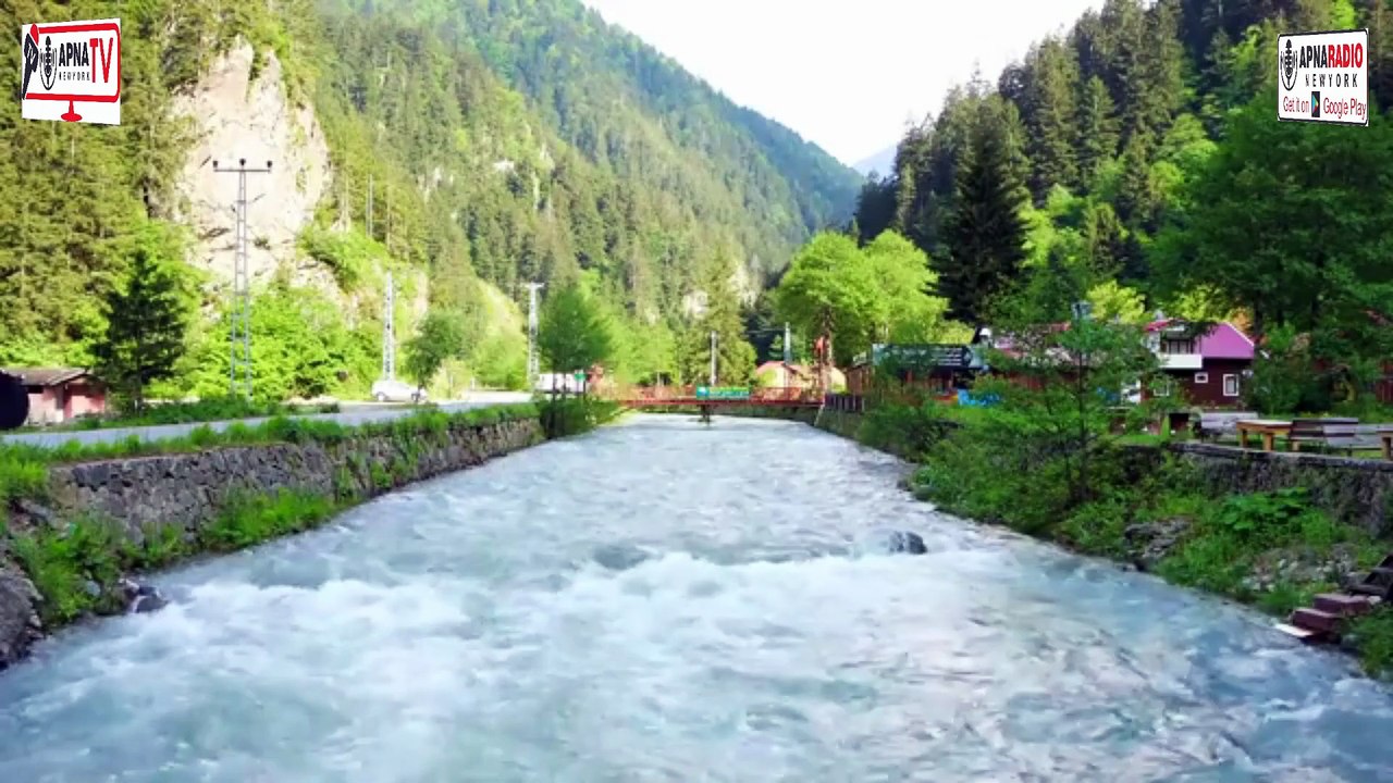 DISCOVER Paradise Found on this Island of Nature Apna Tv New York 14-07-2025