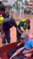 Texas Flood: How You Can Help People & Animals