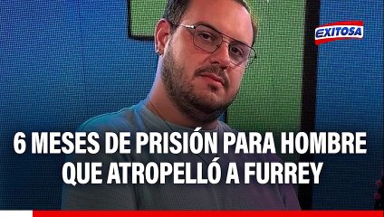 Seis meses de prisión preventiva para sujeto que atropelló a 'Furrey'