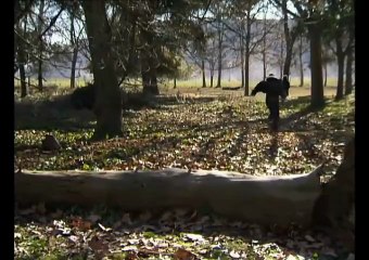 Los Hombres de Paco 4x10 Las últimas palabras de Julio Olmedo