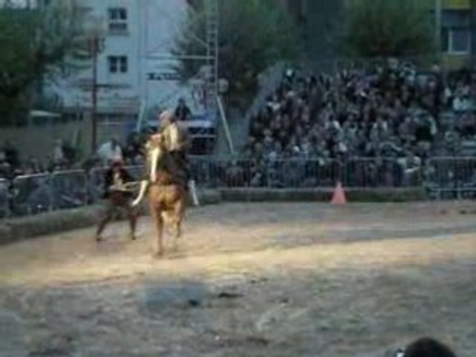 Spectacle nocturne Landi 2008