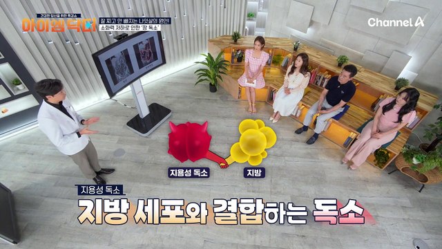 내장 지방은 몸속의 썩은 기름탱크다? 소화력이 떨어지면 왜 살이 찔까!