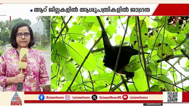 വീണ്ടും ഭീതി; പാലക്കാട് നിപ ബാധിച്ച് മരിച്ച വയോധികൻ്റെ റൂട്ട് മാപ്പ് സങ്കീർണം