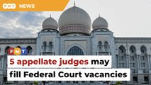 5 appellate judges may be elevated to Federal Court, say sources
