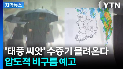 [자막뉴스] 돌풍·벼락까지 동반한 '물 폭탄'...동해 이어 중부도 비상 / YTN