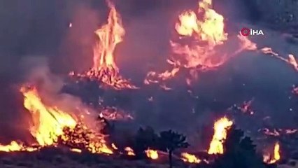 İzmir yine alevlere teslim oldu!