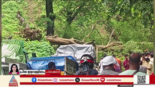 ആനമൂളി ചെക്ക്പോസ്റ്റിന് സമീപം മരം വീണു; അട്ടപ്പാടി ചുരത്തിൽ ഗതാഗത കുരുക്ക്