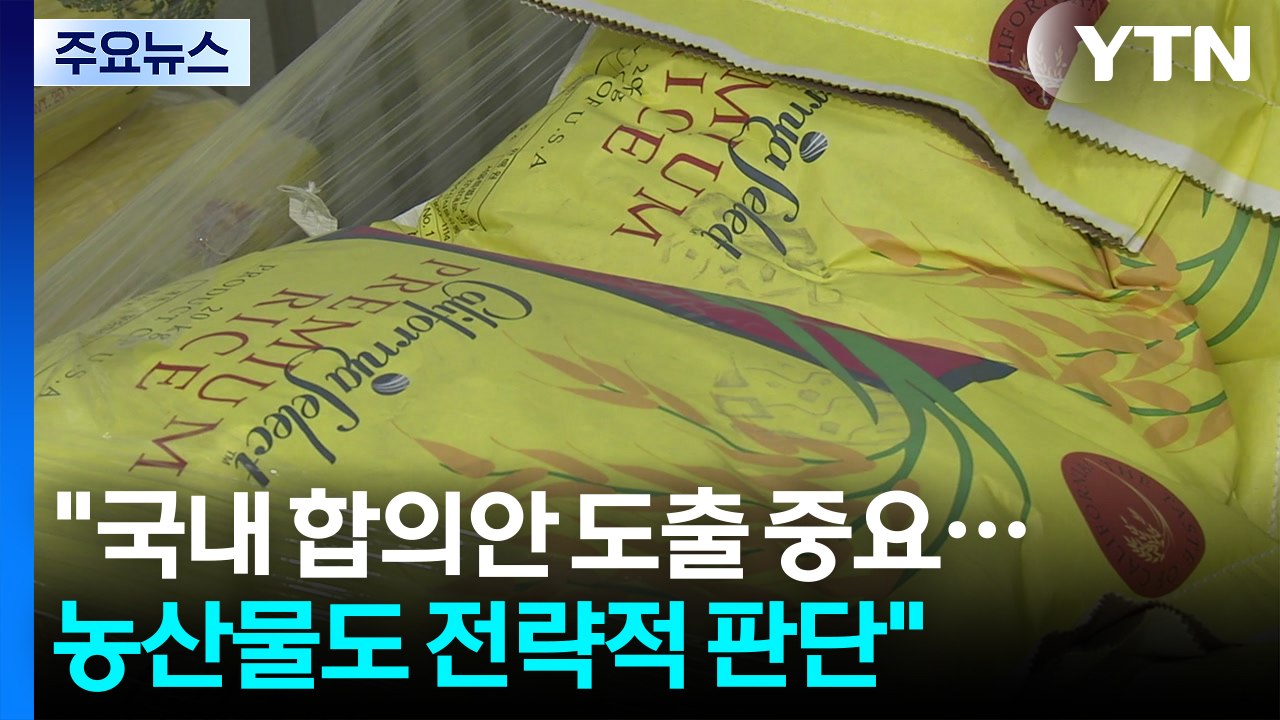 여한구 "국내 합의안 도출 중요...농산물도 전략적 판단" / YTN