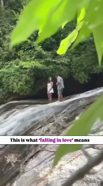 This what falling in Love mean .