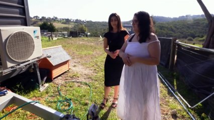 Tiny house residents forced out by council’s building orders