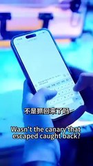 Reborn, She Tried To Make Amends—Only To Be Pinned Down By Him And Forced Into His Possessive Love