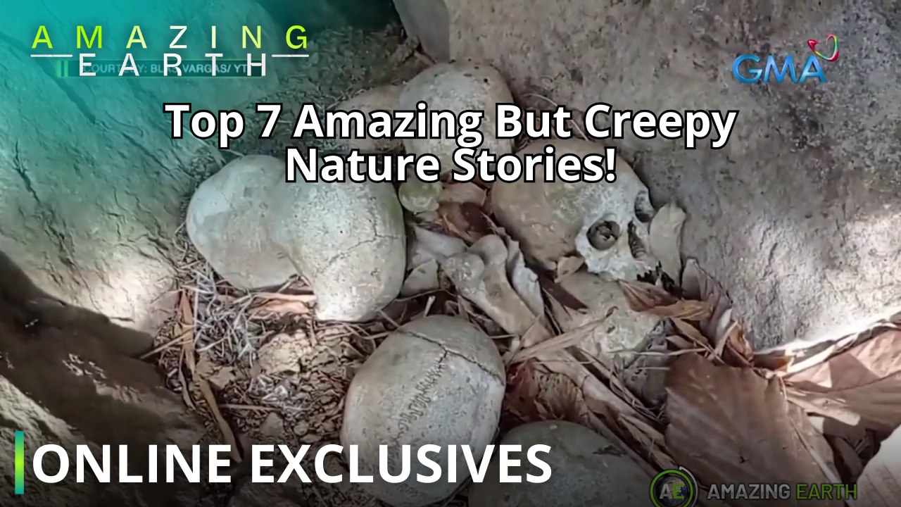 Amazing Earth: Top 7 Amazing But Creepy Nature Stories! (Online Exclusives)ampus Cutie Finale showcases fresh faces of Sparkle