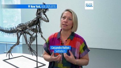 Rekordméretű meteorit és dínócsontváz is kalapács alá kerül New Yorkban