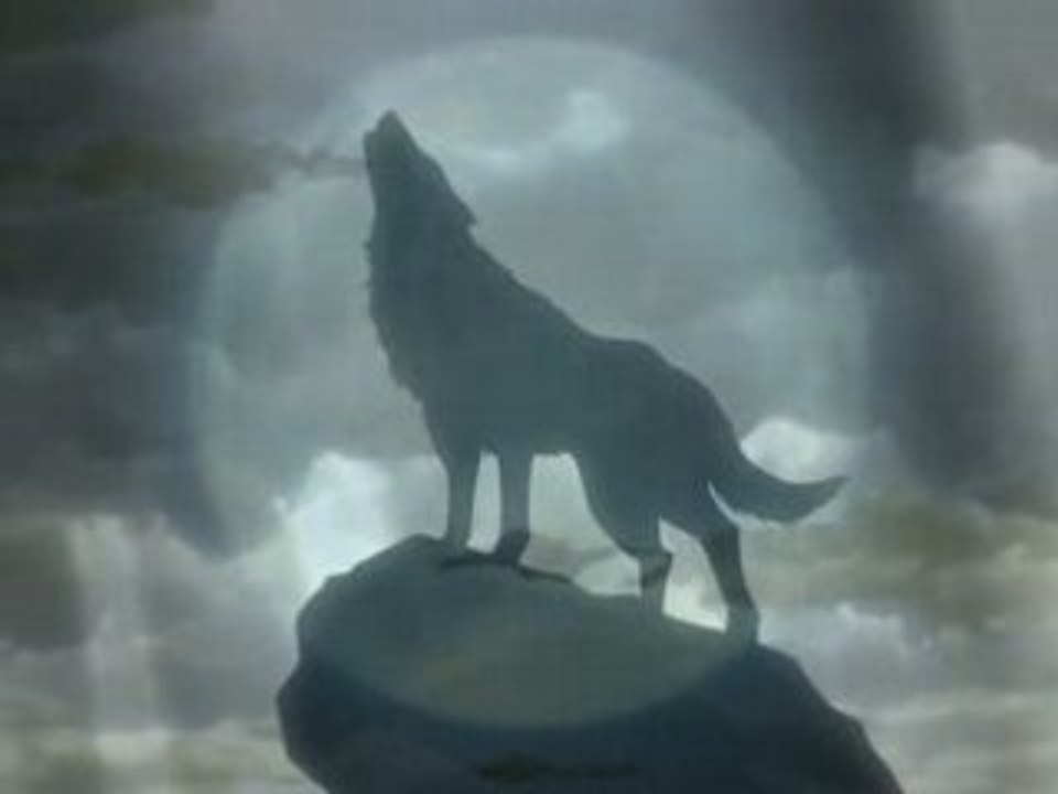 Wolf's Rain A