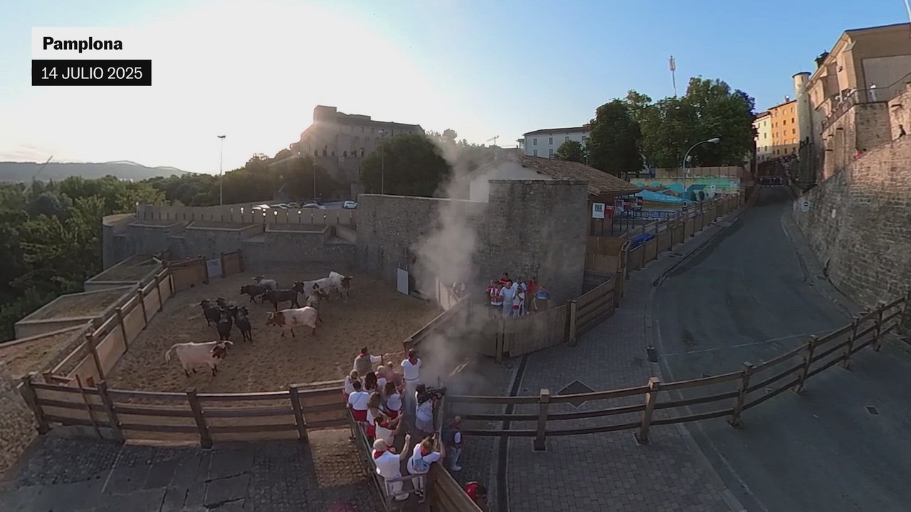 Terminan los Sanfermines: Así ha sido el último encierro con los toros Miura