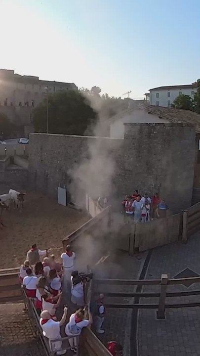 El anodino encierro de los toros de Miura que cierra los sanfermines