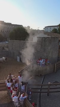 El anodino encierro de los toros de Miura que cierra los sanfermines