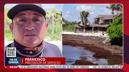 El sargazo pinta de café las playas del Caribe mexicano