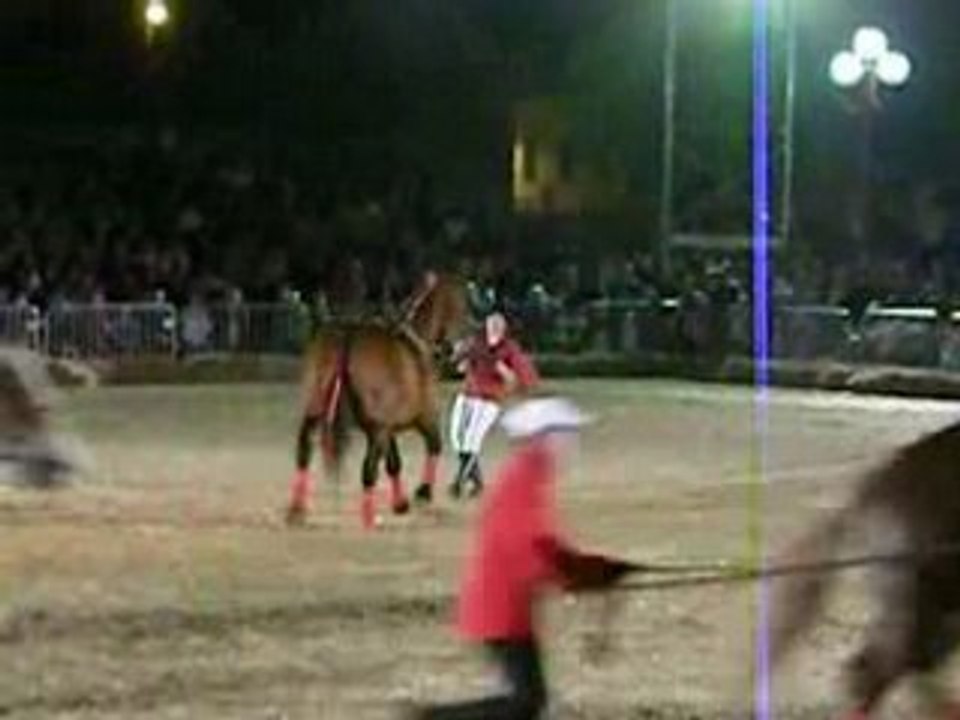 Spectacle nocturne Landi 2008