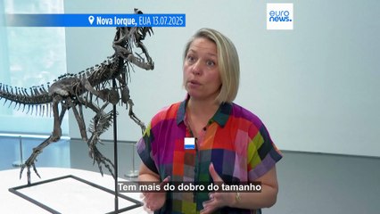 O maior pedaço de Marte na Terra está a ser leiloado em Nova Iorque