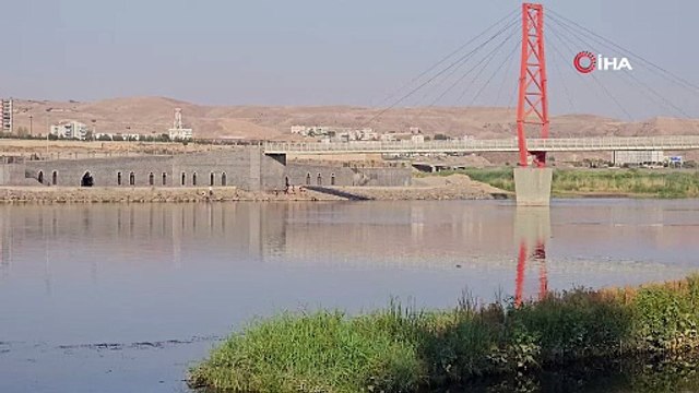 Çocuklar tehlikeye aldırış etmedi metrelerce yükseklikten suya atladı