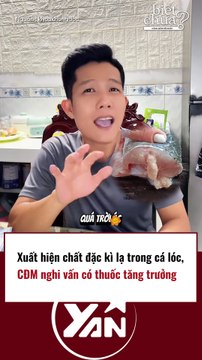Cá lóc xuất hiện chất lạ, CĐM nghi ngờ có chất tăng trưởng
