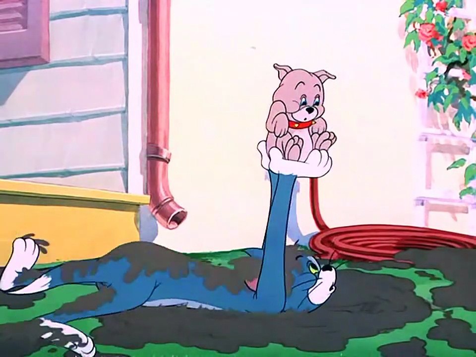 Tom & Jerry | Slicked-Up Pup