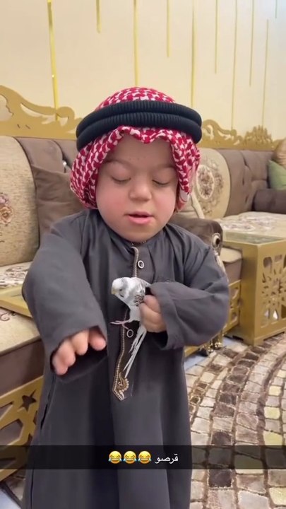 #funny # video #shorts