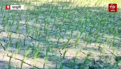 আগতে হোৱা নাছিল এনে পৰিস্থিতি, ভৰ বাৰিষাও পথাৰত মেলিছে চিৰাল ফাট