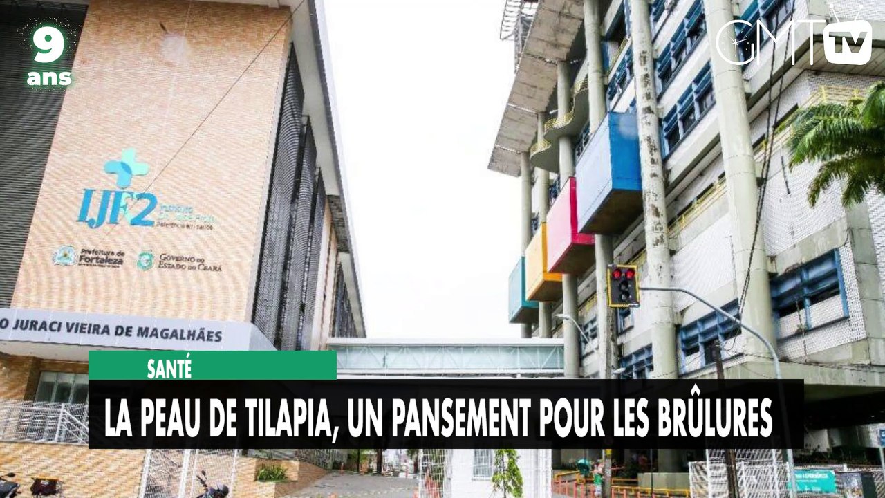 [#Reportage]  Santé : la peau de tilapia, un pa...