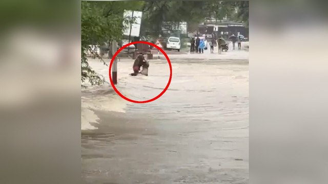 डेढ़ घंटे तक पेड़ की डाल पकड़ कर रखी