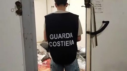 Maxi sequestro di tonno a Catania
