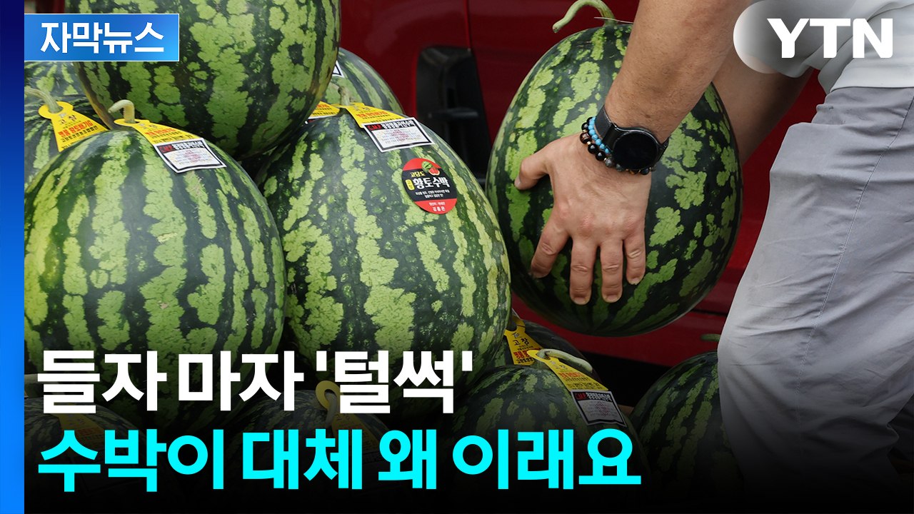 [자막뉴스] 내가 알던 수박이 아니다...가격표 보고 서늘해진 등골 / YTN