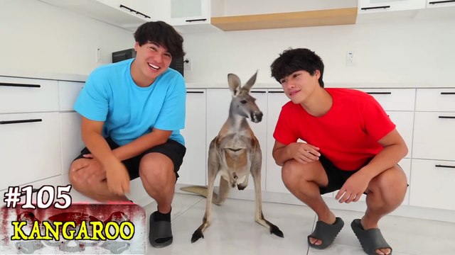 “I Bought 1,000 Cursed Amazon Products 📦😱 | 1000 Mystery Items Challenge”